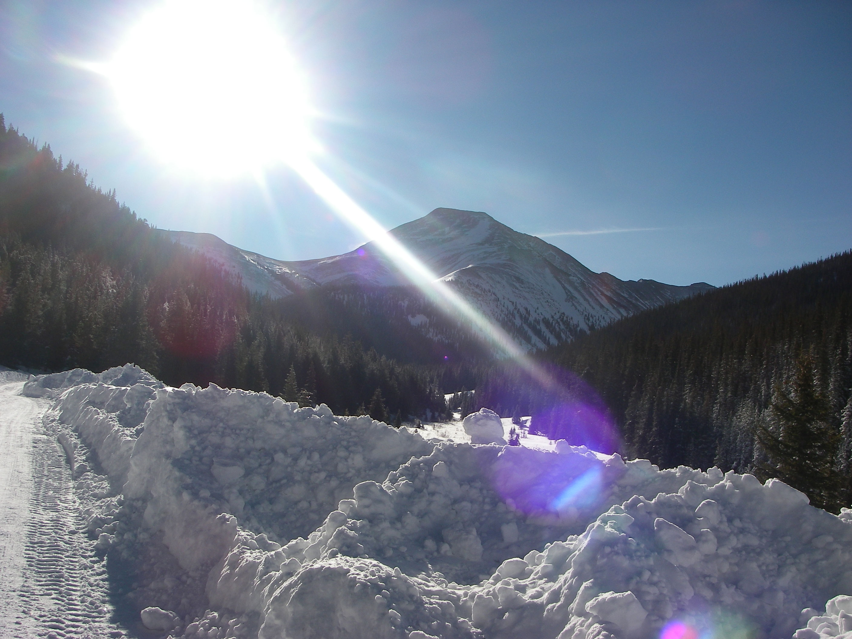 Colorado Christmas @ Tech Biz
